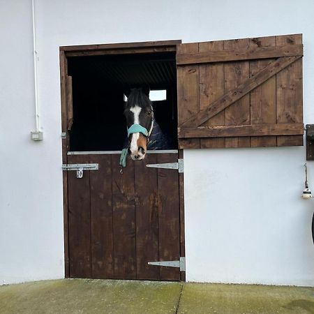 Ferienwohnung Toddys Hideaway Cavan Exterior foto