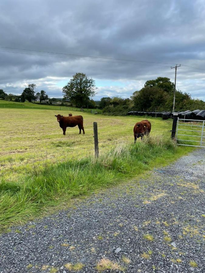 Ferienwohnung Toddys Hideaway Cavan Exterior foto