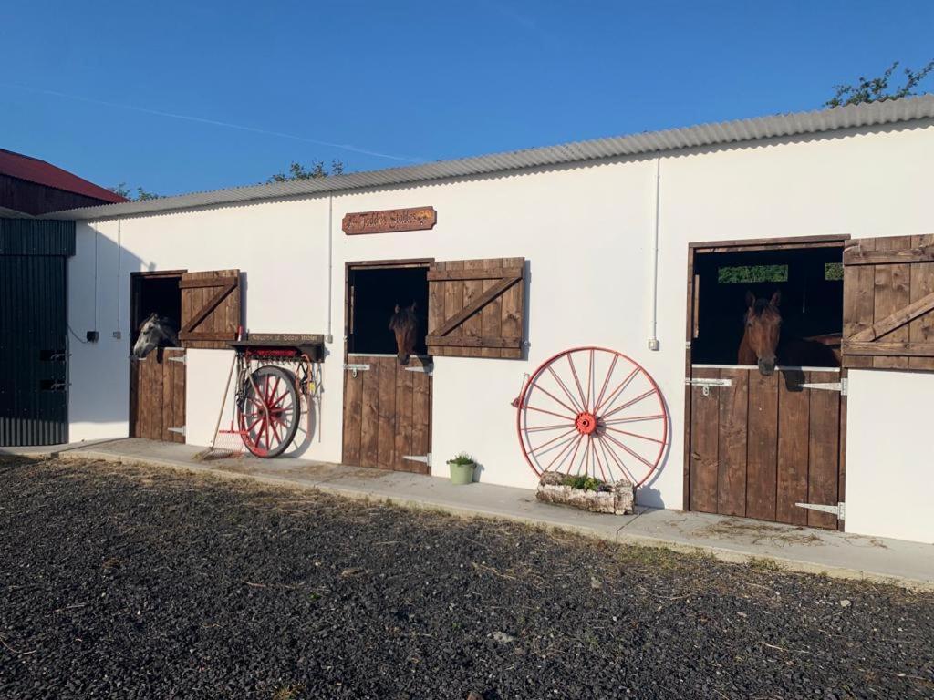 Ferienwohnung Toddys Hideaway Cavan Exterior foto
