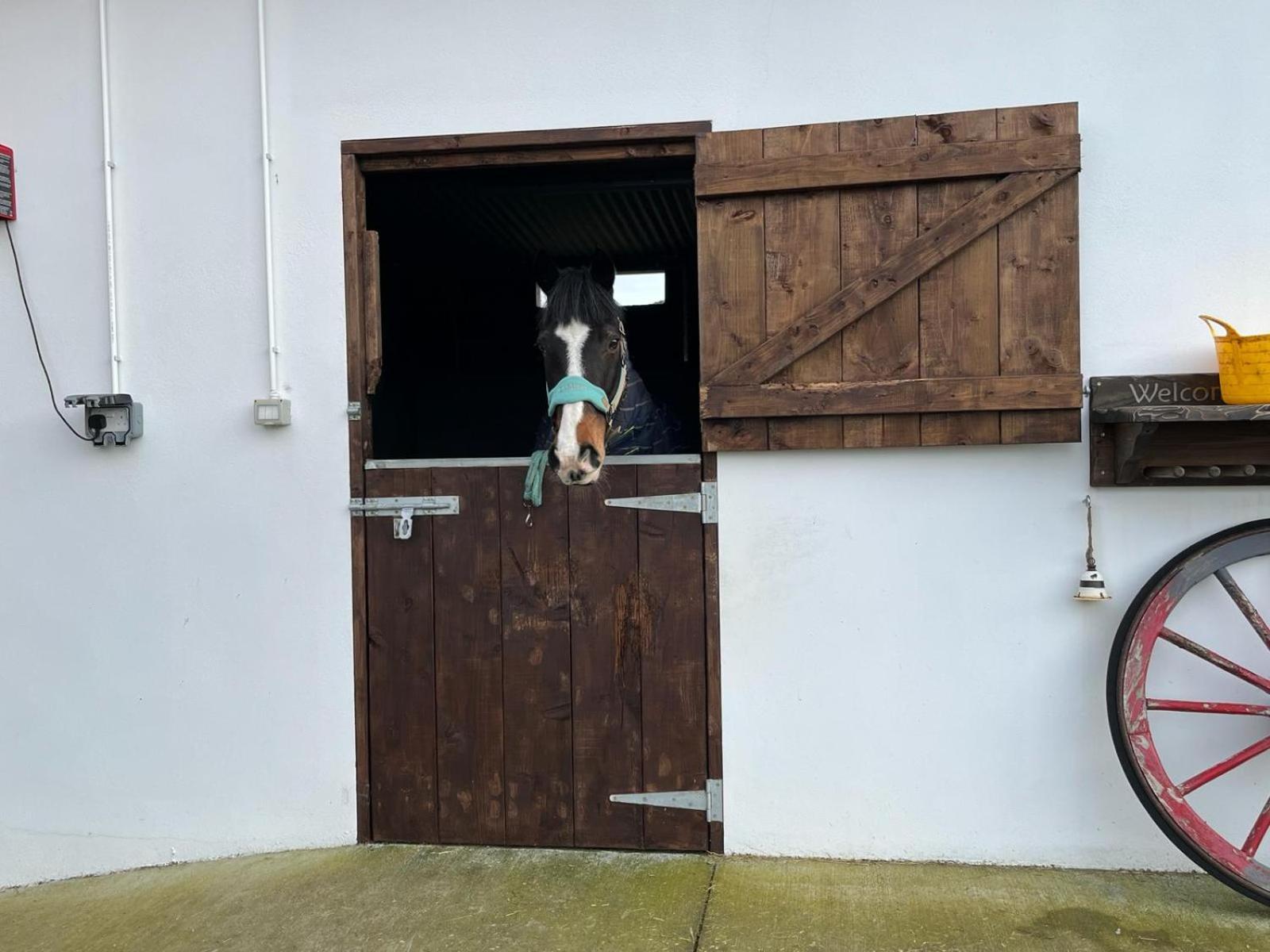 Ferienwohnung Toddys Hideaway Cavan Exterior foto